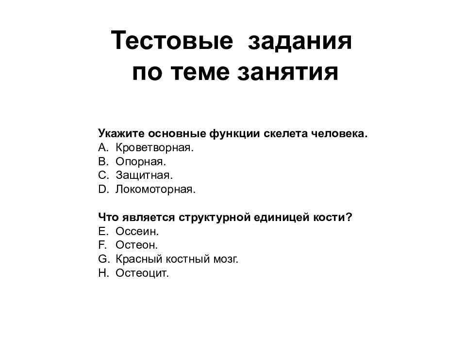 Введение в анатомию человека презентация