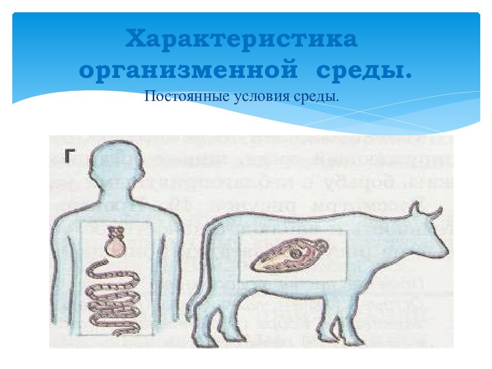 Живая среда. Растения в организменной среде. Плотность организменной среды. Плотность среды в организменной среде. Организменная среда обитания фото.