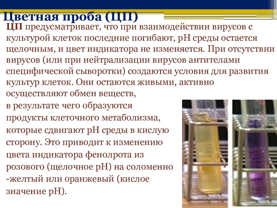 Метод цветной реакции. Цветная проба микробиология вирус. Цветная проба. Цветная реакция вирусы. Реакция цветной пробы микробиология.