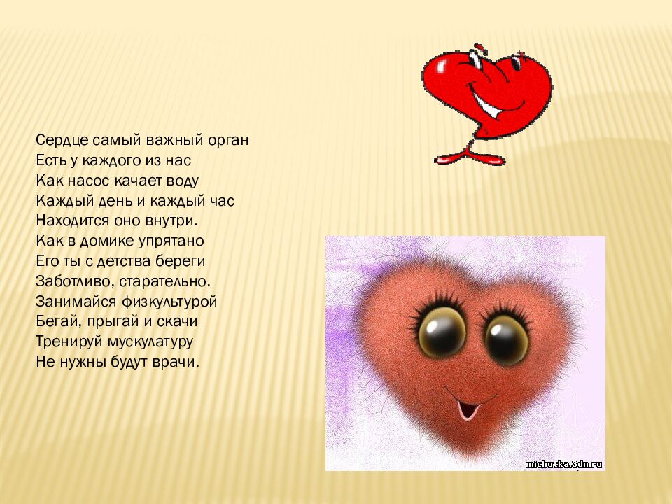 Как работает наше сердце