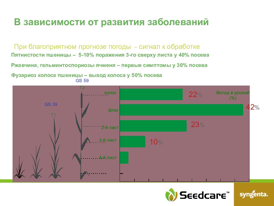 защита зерновых культур