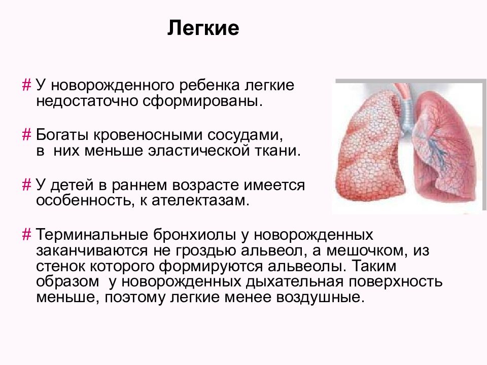 Легкие новорожденного. Афо легочной ткани у детей. Особенности легочной ткани у детей раннего возраста. Особенности строения легких у детей. Особенности легкого у детей.