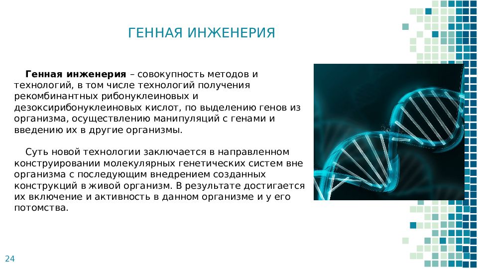 Проект старение человека и возможность бессмертия