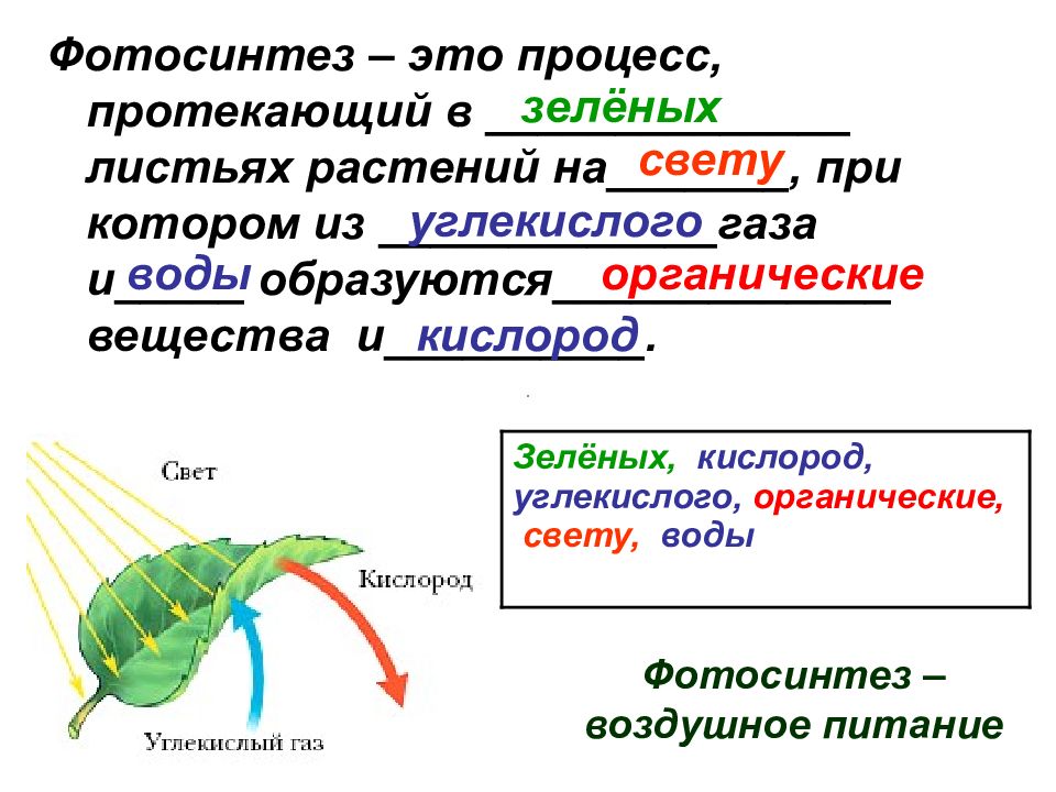 Фотосинтез уникальное природное явление презентация