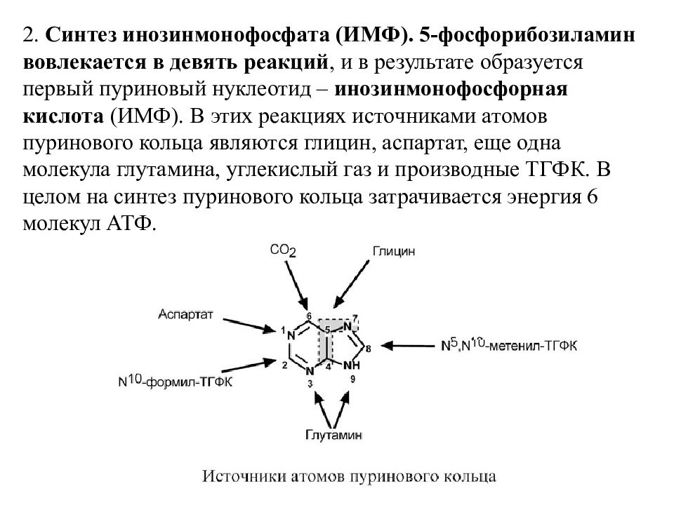 Источники нуклеотидов. Схема реакции синтеза инозинмонофосфата. Схема синтеза происхождение атомов пуринового кольца. Схему происхождения атомов пуринового кольца. Синтез инозинмонофосфата реакции.
