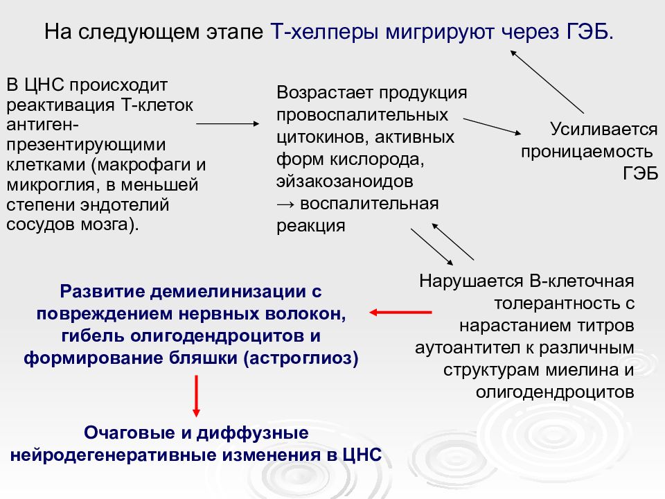 Этап т. Прямая реактивация. Этапы Тэкмана. Макрофаг проходит через ГЭБ. Реактивация воссоздания.