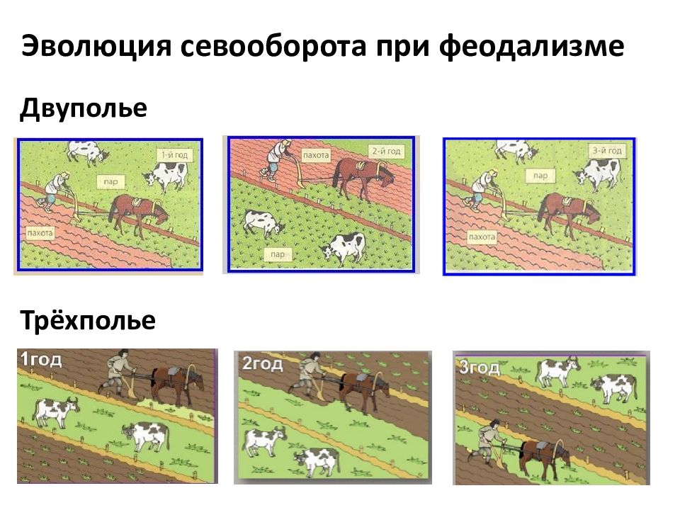 Заполни схему что выращивали крестьяне земледелие