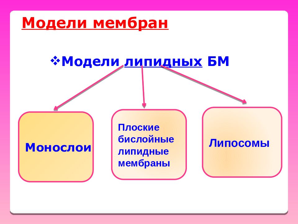 Модель оболочек. Овертон мембрана. Монослой липидов. Модель мембраны монослой липидов. Физические модельные мембраны.