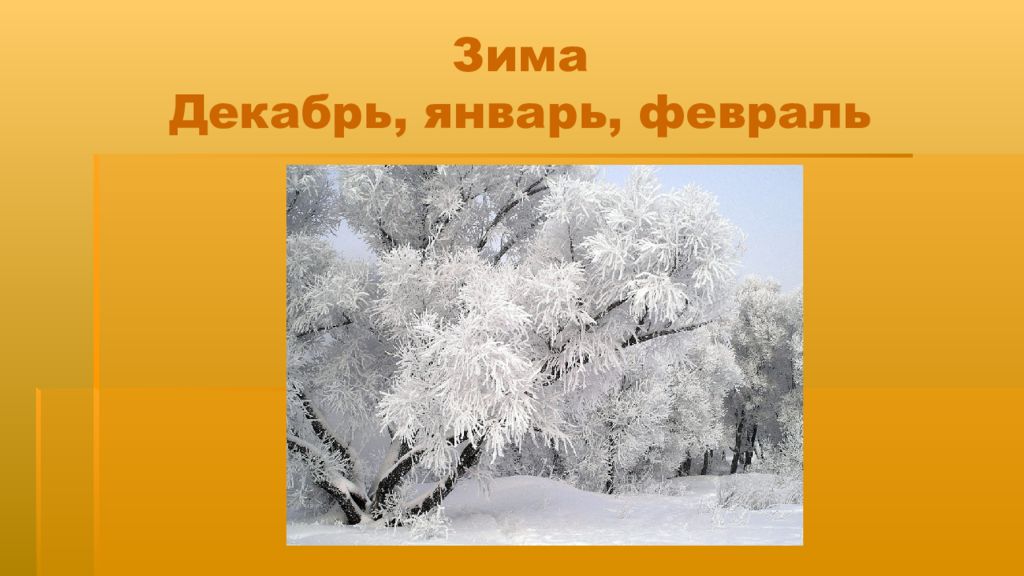 Зима в жизни растений. Изменения в жизни растений зимой. Зима в жизни растений задания. Роль снега в жизни растений презентация.