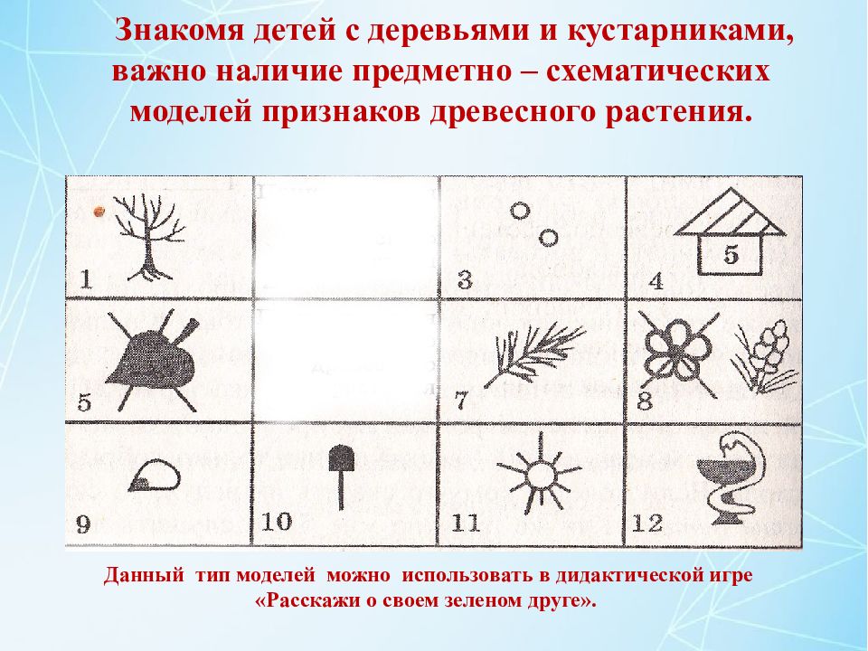 Модели эколого систематических групп для дошкольников картинки