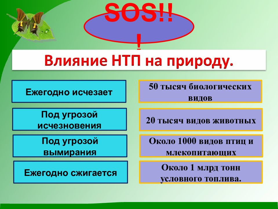 Проект на тему человек и природа