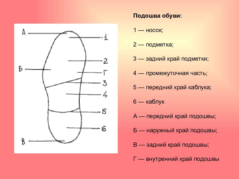 Обозначьте и укажите на рисунке части следа босой ноги