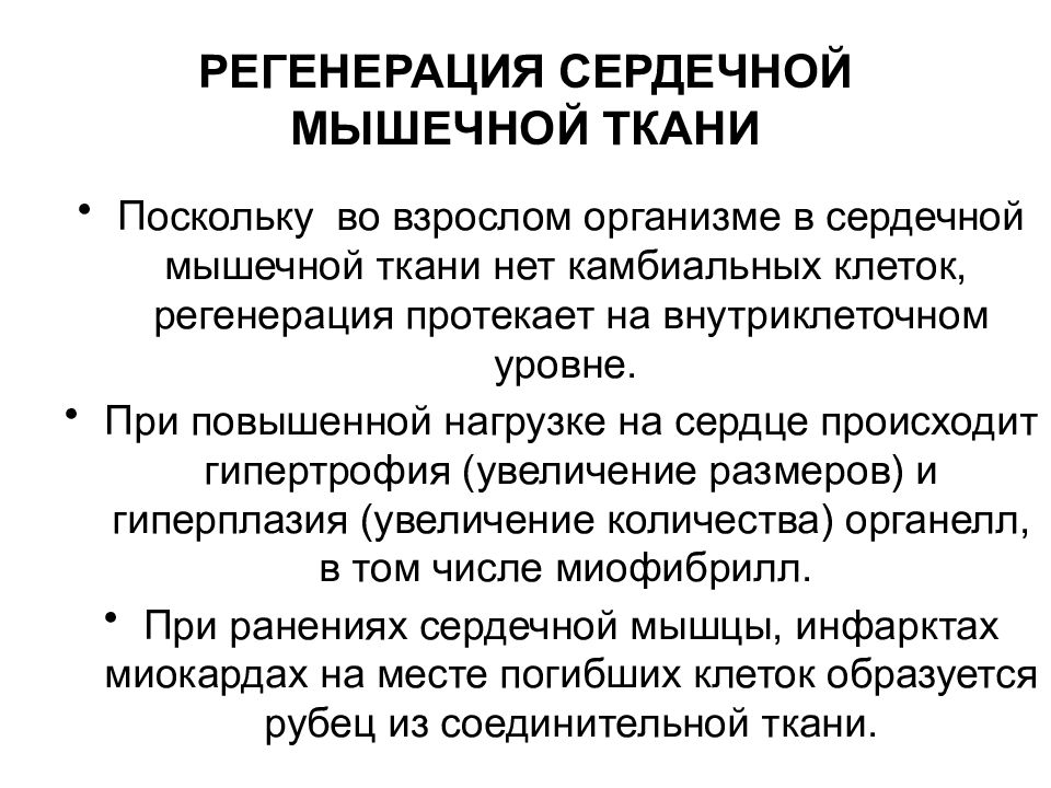 Регенерация это простыми словами