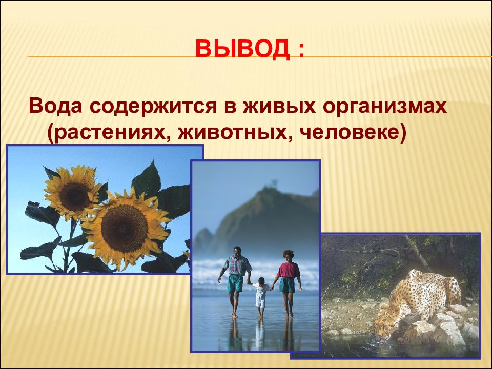 На тему можно ли. Можно ли жить без воды. Презентация можно ли жить без воды,. Вывод о живых организмах. Можно ли жить без воды презентация 5.