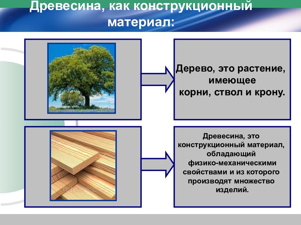 Проект по технологии 5 класс на тему древесина