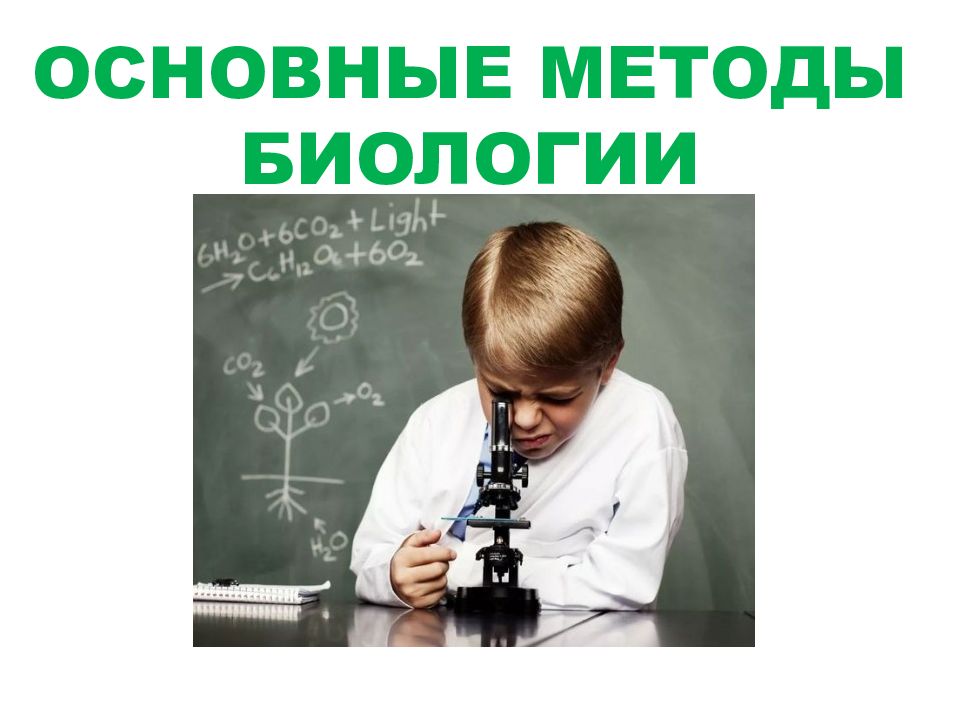 ОСНОВНЫЕ МЕТОДЫ БИОЛОГИИ