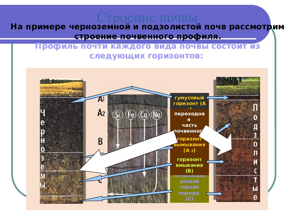 Виды почв. Зональные типы почв России таблица 8 класс подзолистые. Строение почвы презентация. Почва по географии. Почва 8 класс.