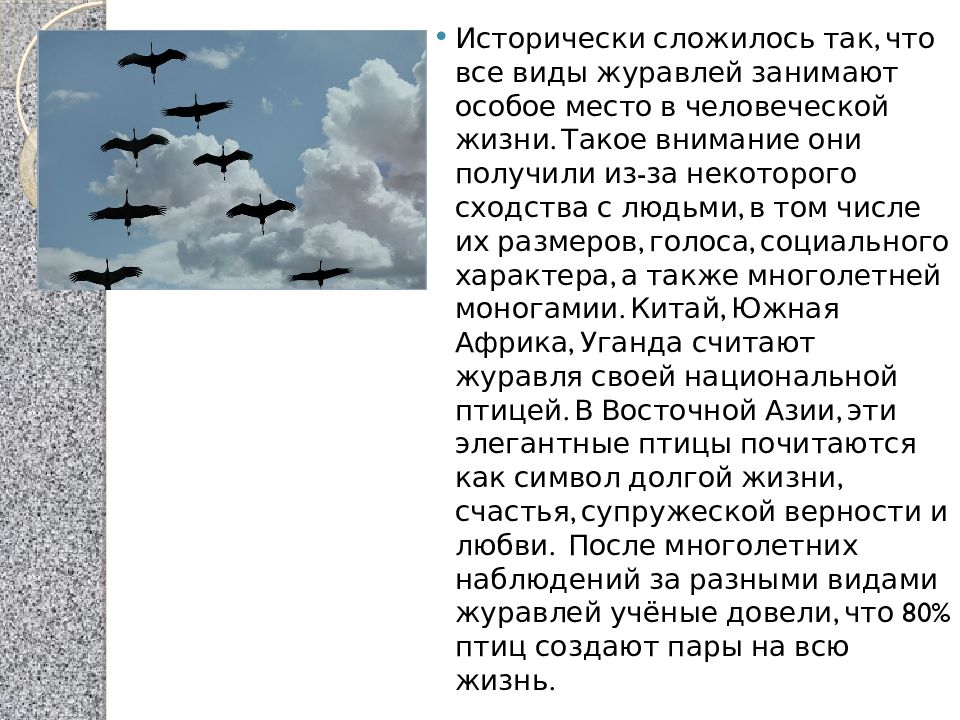 Журавли текст военная слушать. Всемирный день журавля презентация. Тема для презентации Журавли. 13 Сентября день журавля. Презентация день журавля для дошкольников.