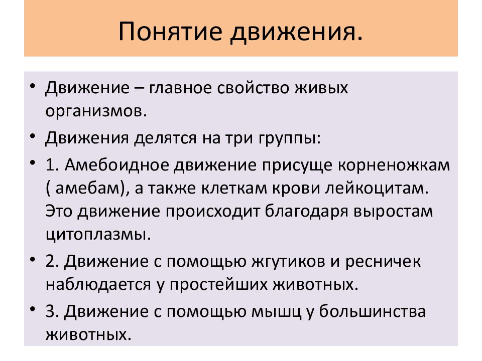 Способы передвижения