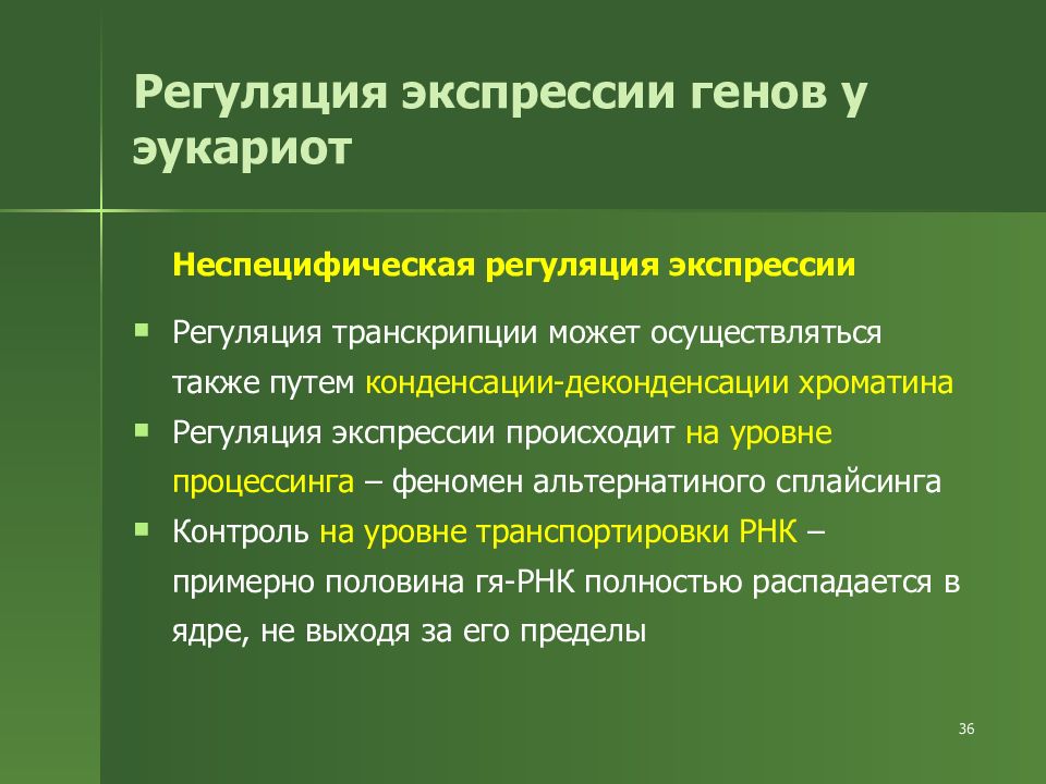 Активность генов. Регуляция Гена эукариот. Регуляция экспрессии генов у эукариот. Регуляция экспрессии генов у ЭУ. Особенности регуляции экспрессии генов у эукариот.