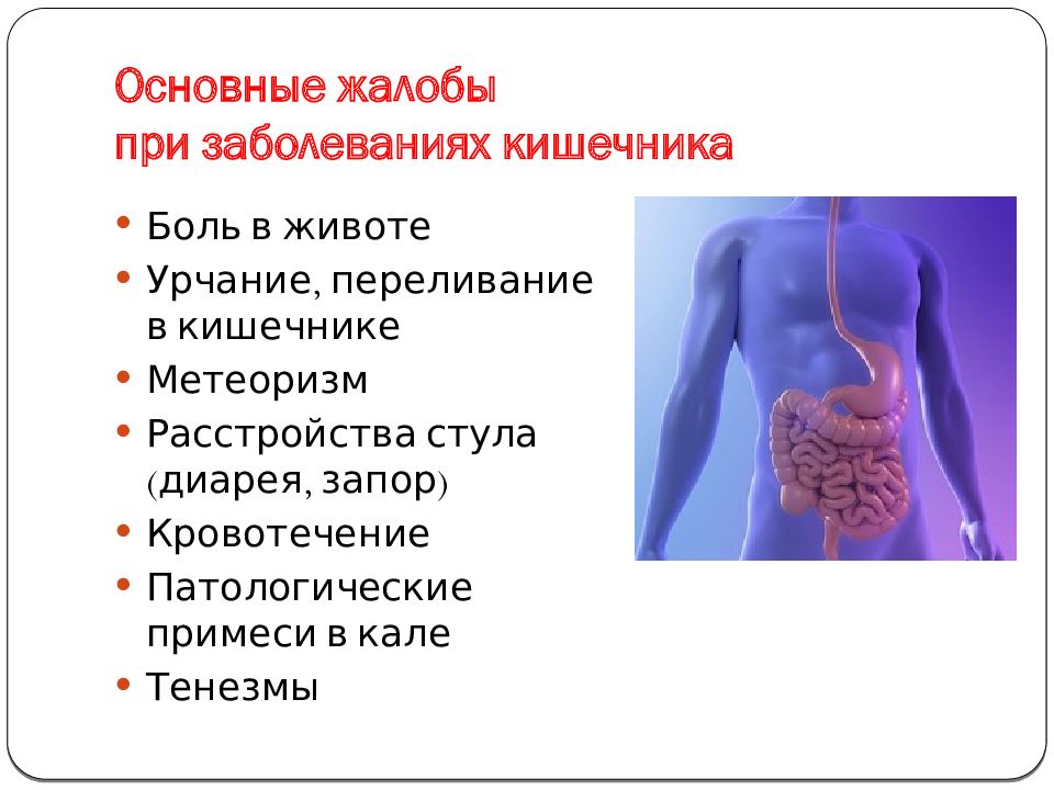 Презентация на тему болезни кишечника