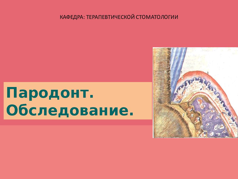 КАФЕДРА: ТЕРАПЕВТИЧЕСКОЙ СТОМАТОЛОГИИ Пародонт. Обследование.