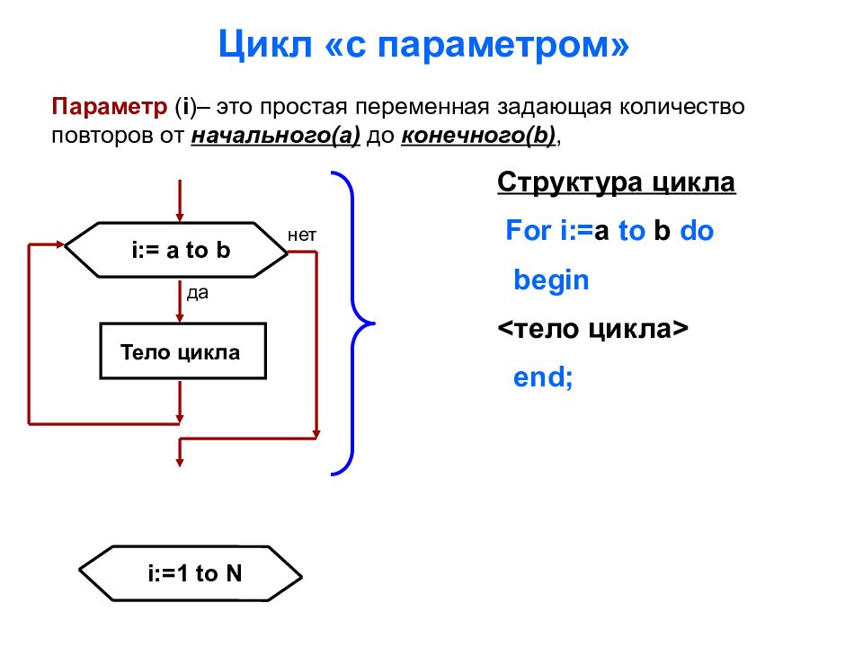 Строение цикла