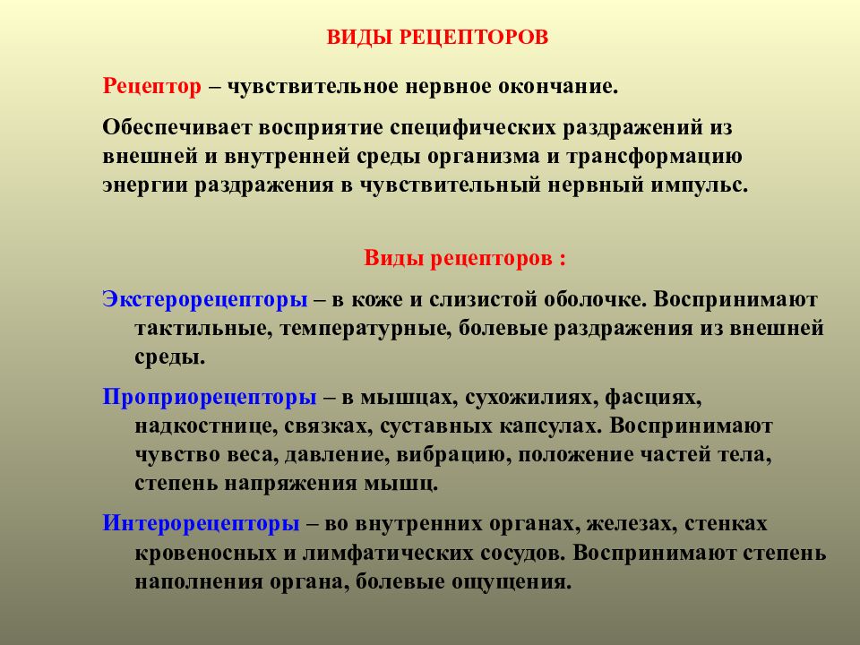 Раздражение нервной системы. Виды рецепторов нервной системы. Виды болевых рецепторов. Формы рецепторов. Функции рецепторов нервной системы.