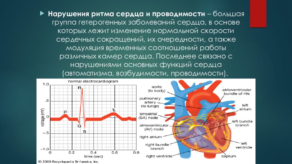 Исследования сердечно сосудистой системы у детей. Сердечно-сосудистая система у детей. Семиотика сердечно сосудистой системы у детей. Семиотика основных поражений сердечно-сосудистой системы у детей. Семиотика нарушения ритма.