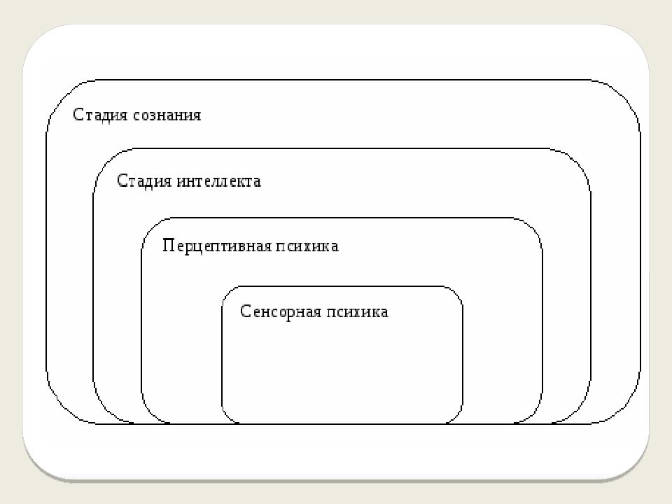 Стадию интеллекта выделил. Стадии сознания. Фазы сознания человека. Стадия интеллекта у животных. Сознание у животных.