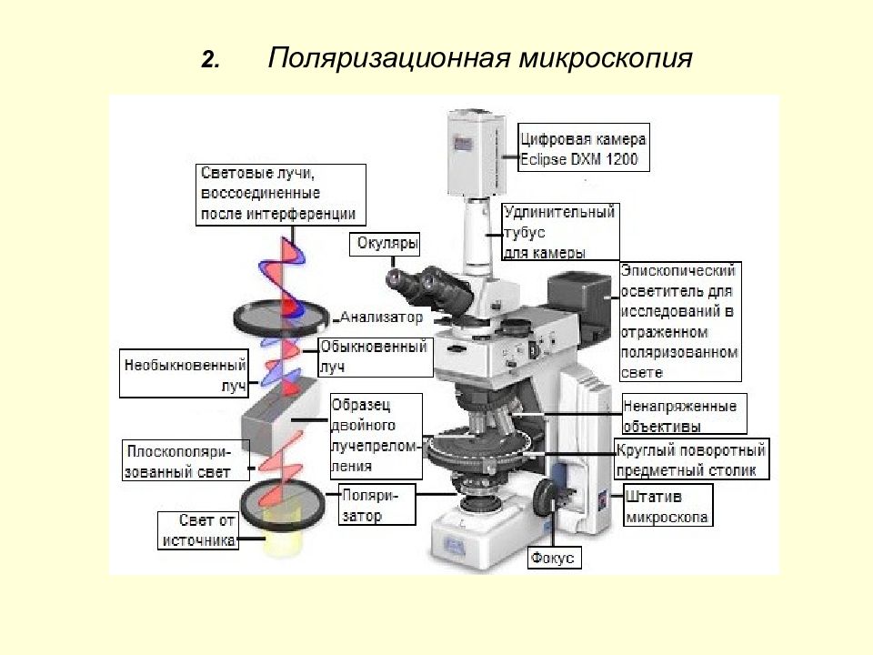 Электронная микроскопия принцип микроскопии