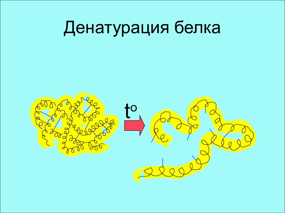 Денатурация белка схема