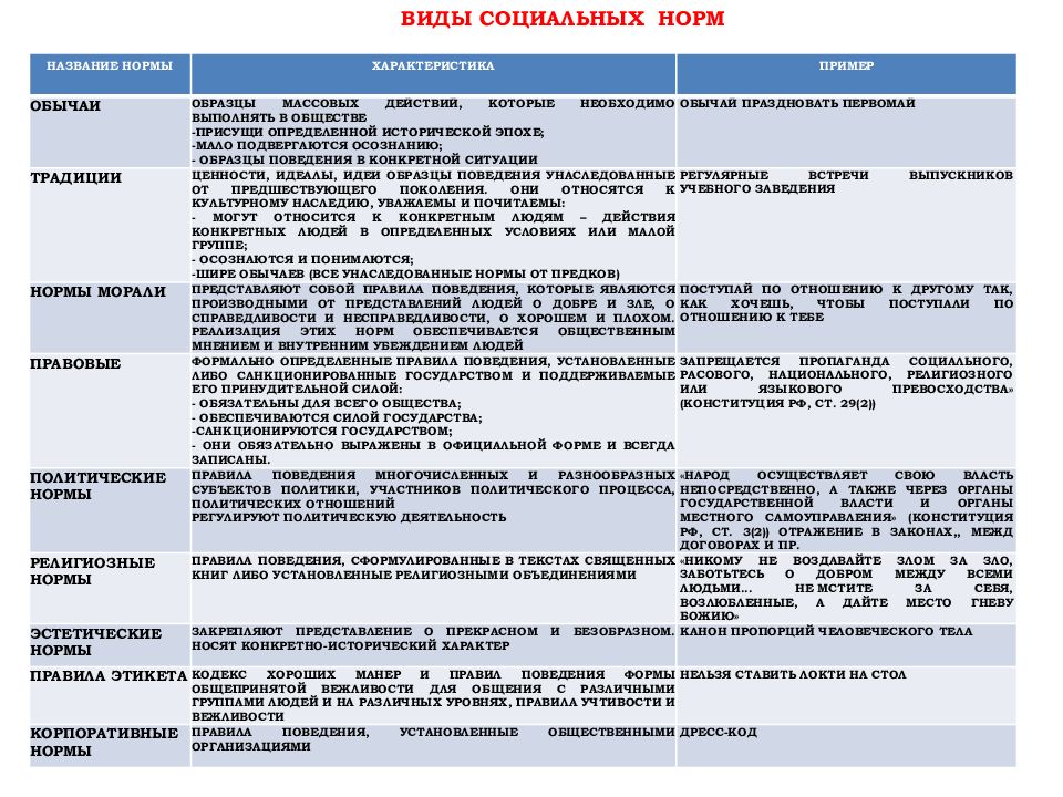 Виды соц норм схема