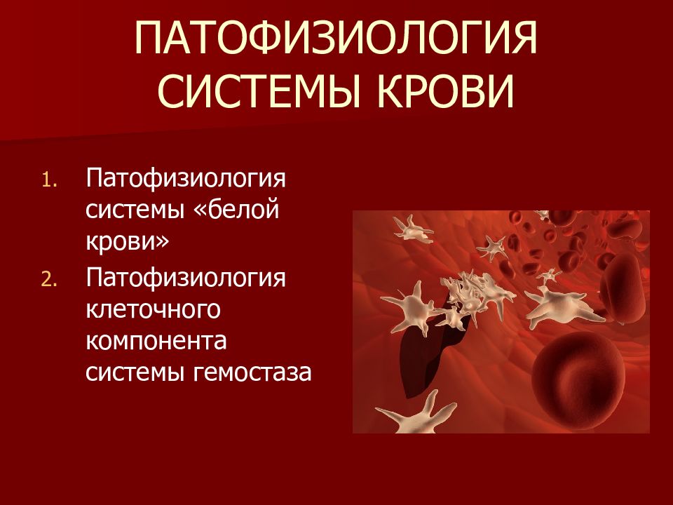 Патологическое кровотечение. Патофизиология крови. Патофизиология системы крови. Патофизиология белой крови. Патофизиология системы белой крови.