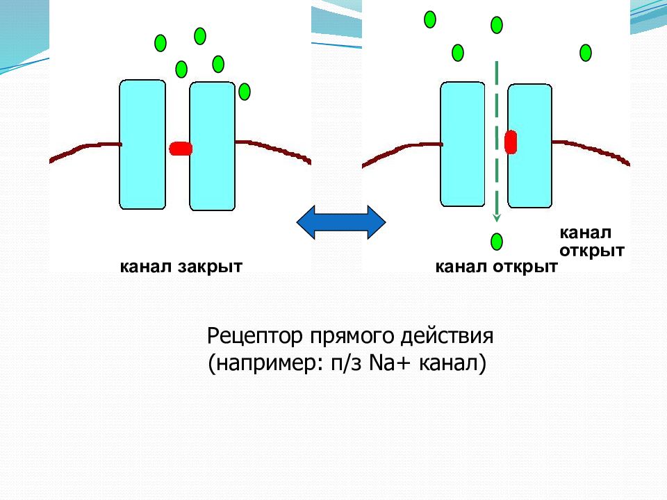 Прямое действие