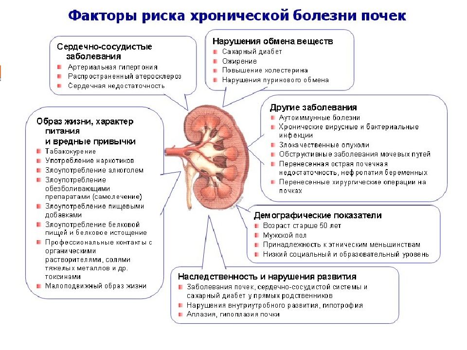 Воспаление почек лечение у женщин