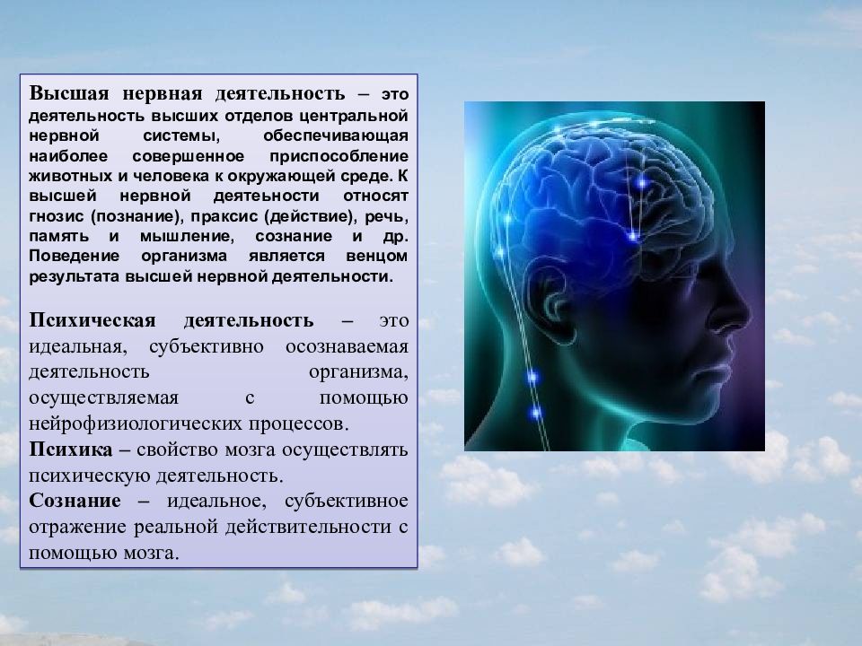 Физиология высшей нервной деятельности презентация