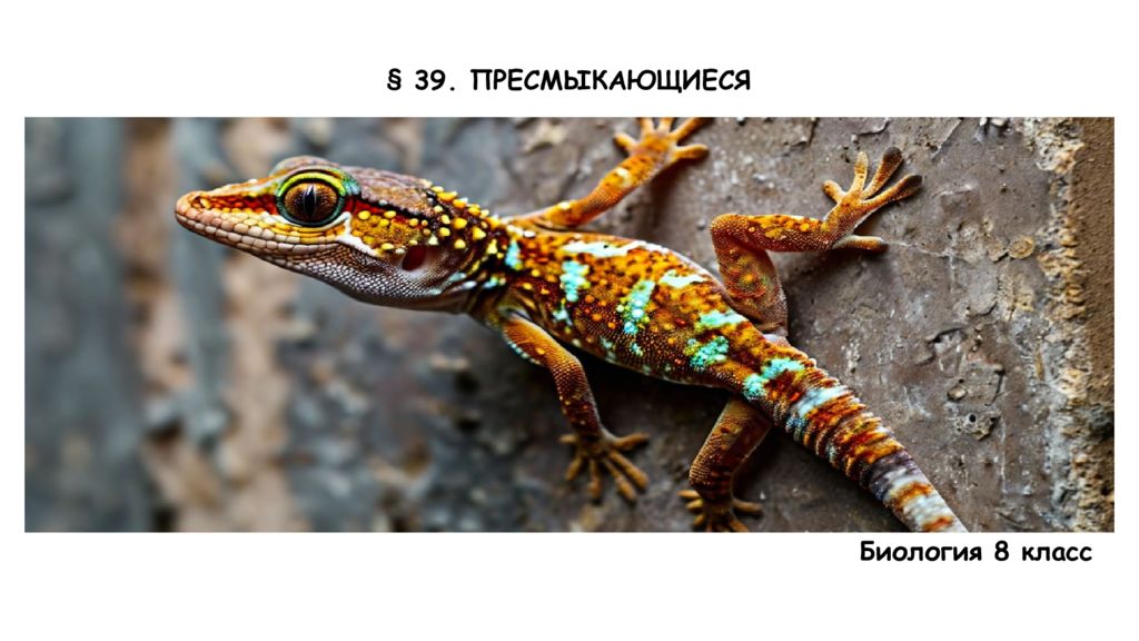 39. ПРЕСМЫКАЮЩИЕСЯ Биология 8 класс