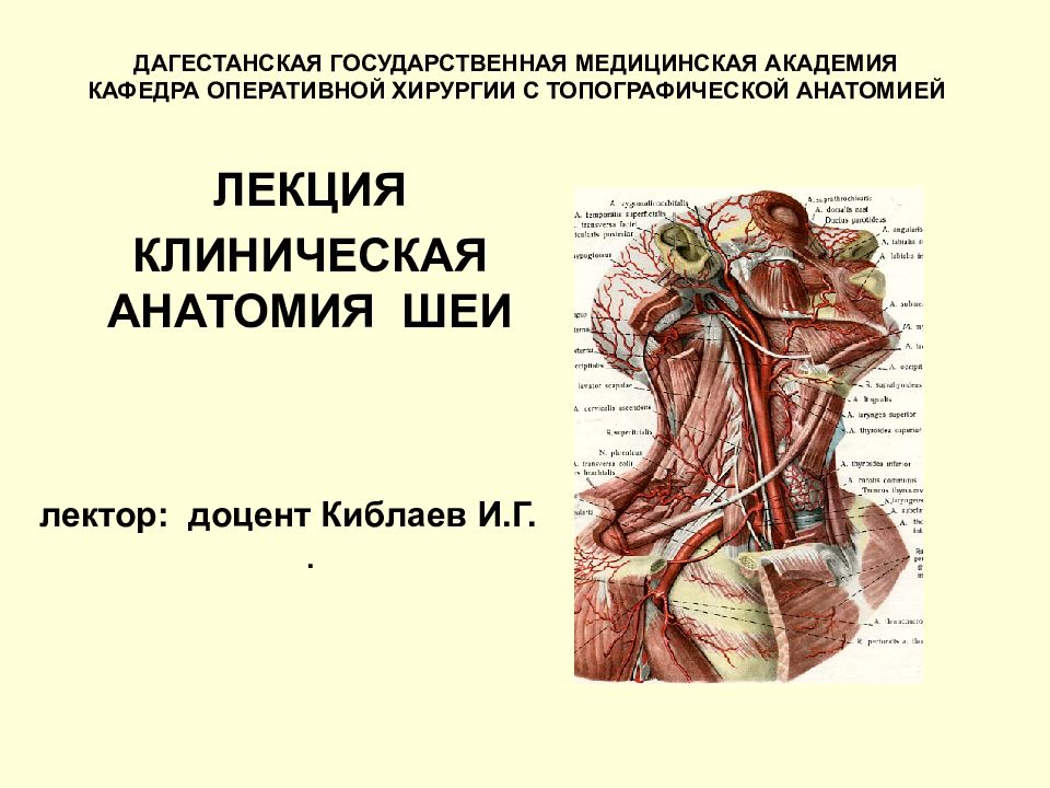 Топографическая анатомия и оперативная хирургия шеи презентация