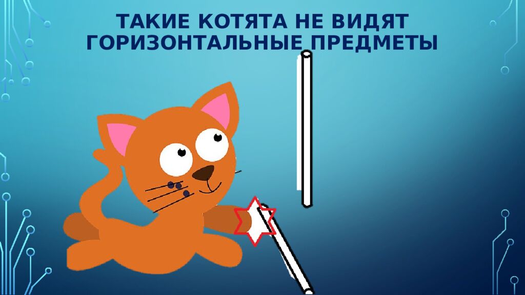 Нейроны зрительной коры: детекторы признаков и их иерархия