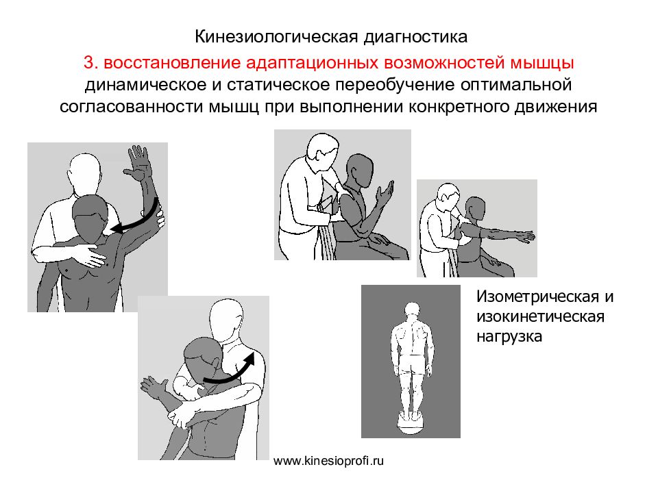 Прикладная кинезиология картинки