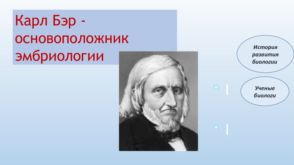 Исторические ученые в биологии. Основатель биологии. Карл Бэр презентация. Ученые биологи. Основоположник общая биология.