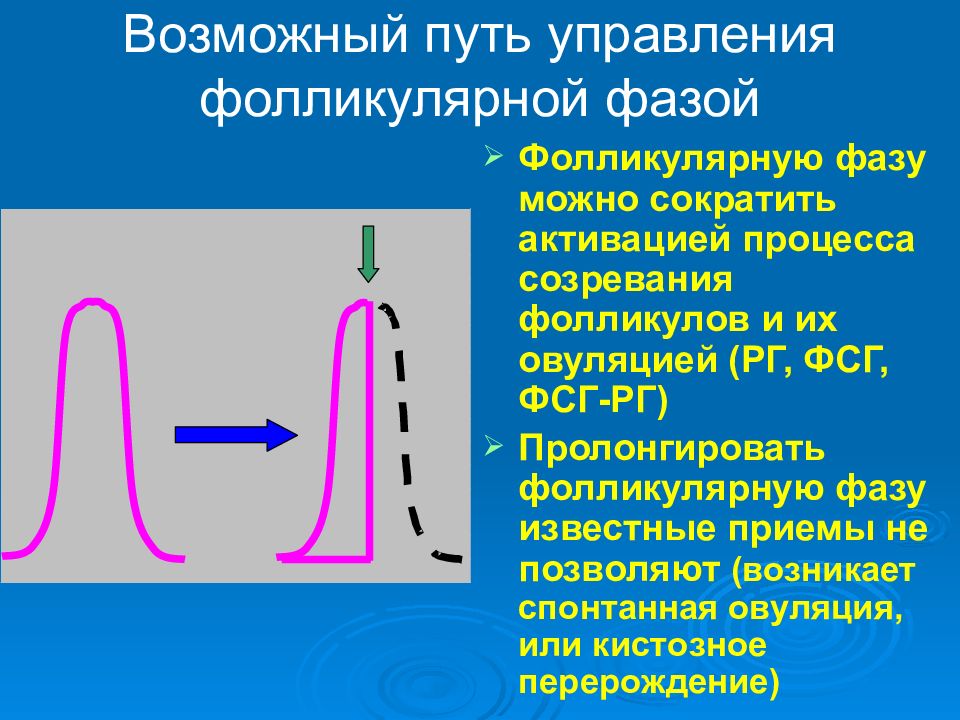 Путь управление