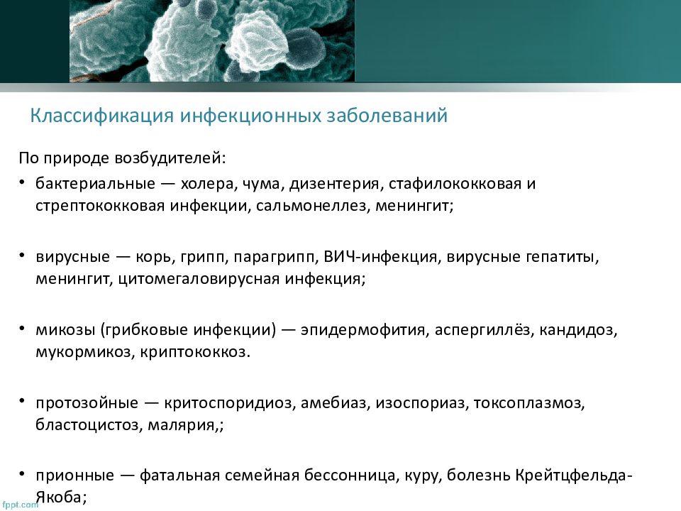 Перечислите возбудителей инфекционных болезней. Классификация инфекционных болезней. Классификация инфекционных б. Классификация инфекционных болезней по микробиологии. Классификация инфекционных заболеваний по источнику возбудителя.