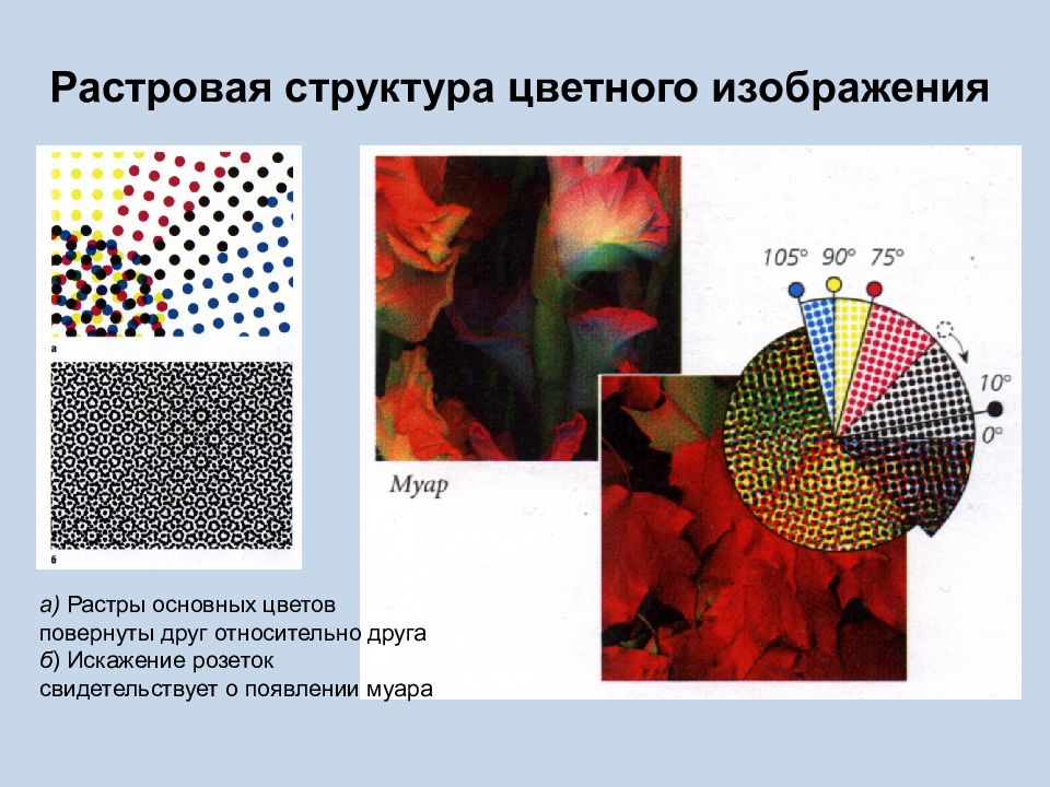 Растровое формирование изображения. Растровая структура изображения. Цветное растровое изображение. Растр точечная структура изображения. Растрирование изображения.