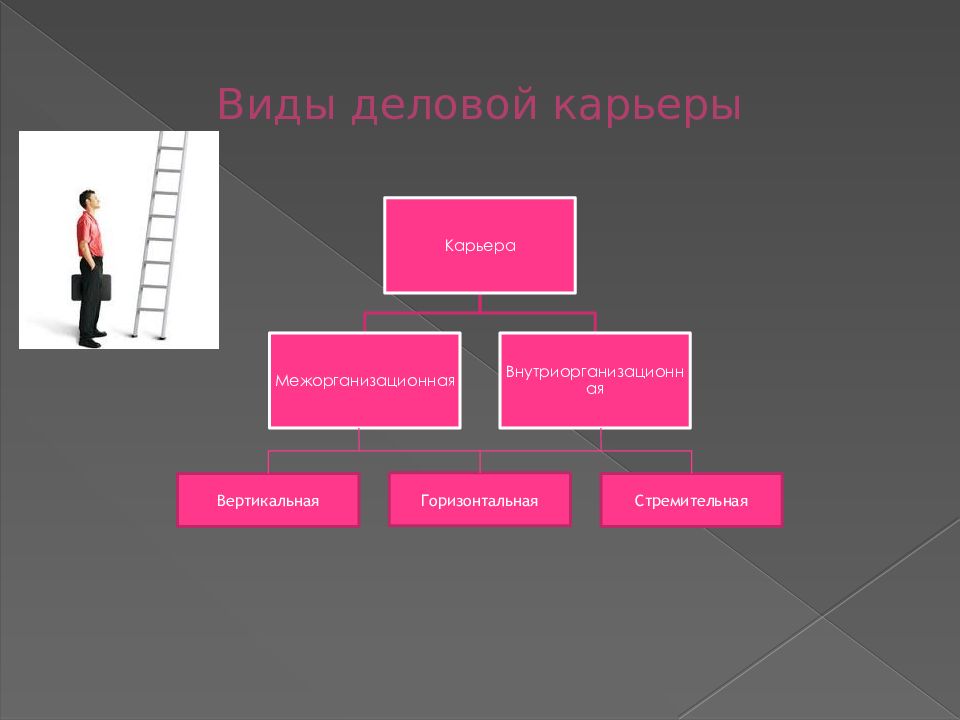 Виды деловой карьеры схема