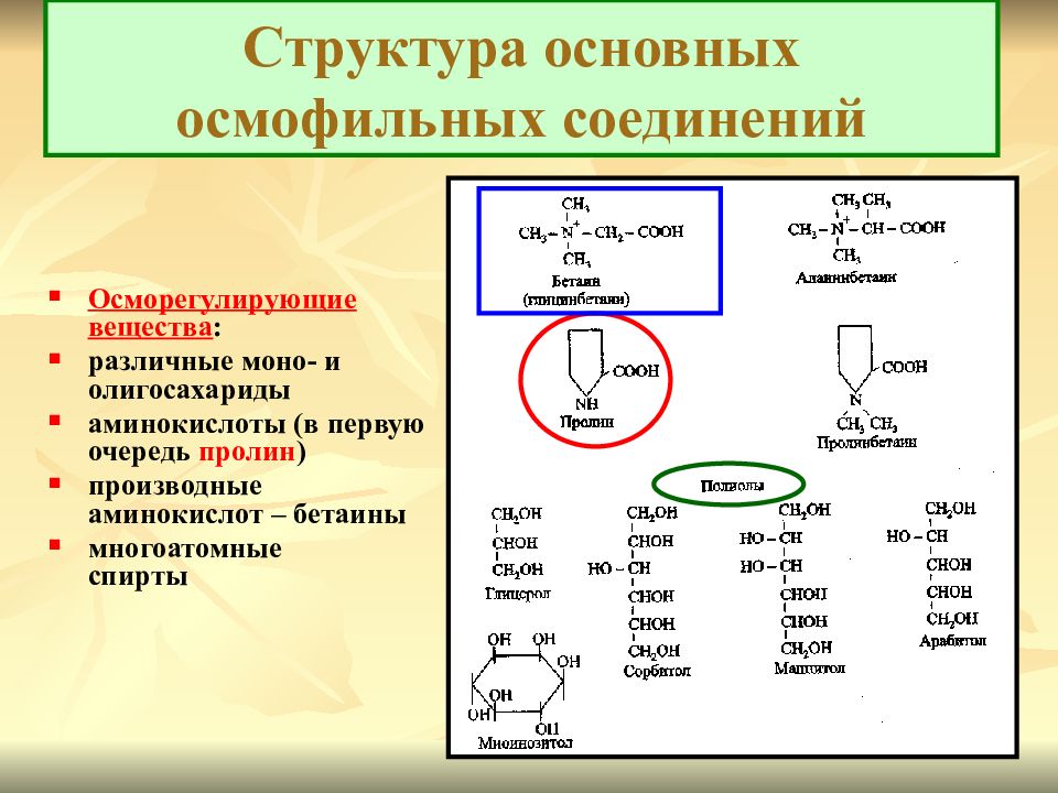 Структура 30. Производные пролина. Осмофильные структуры. Бетаиновая структура. Моно и олигосахариды.