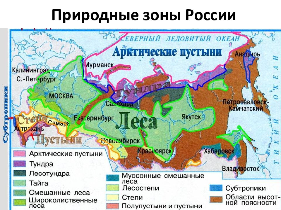 Природа центральной россии презентация