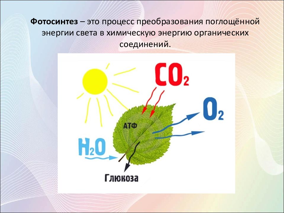 Презентация по химии фотосинтез