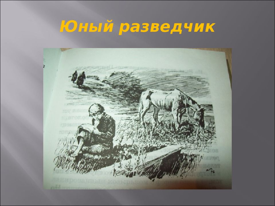 Произведение петровича. Удивительный мир героев Валентина Катаева рисунок.